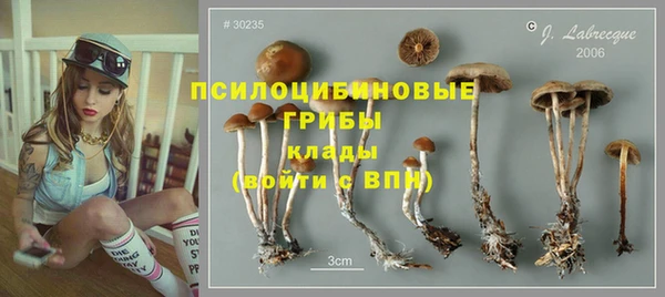 ГАЛЛЮЦИНОГЕННЫЕ ГРИБЫ Надым