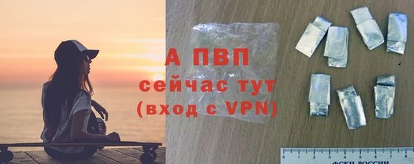 ГАЛЛЮЦИНОГЕННЫЕ ГРИБЫ Надым
