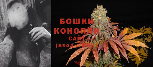 ГАЛЛЮЦИНОГЕННЫЕ ГРИБЫ Надым