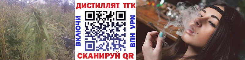 darknet Telegram  цена   Сураж  ТГК гашишное масло 